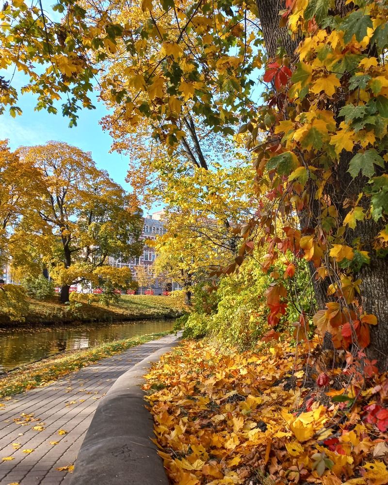 Photograph by Ирина Калюжная