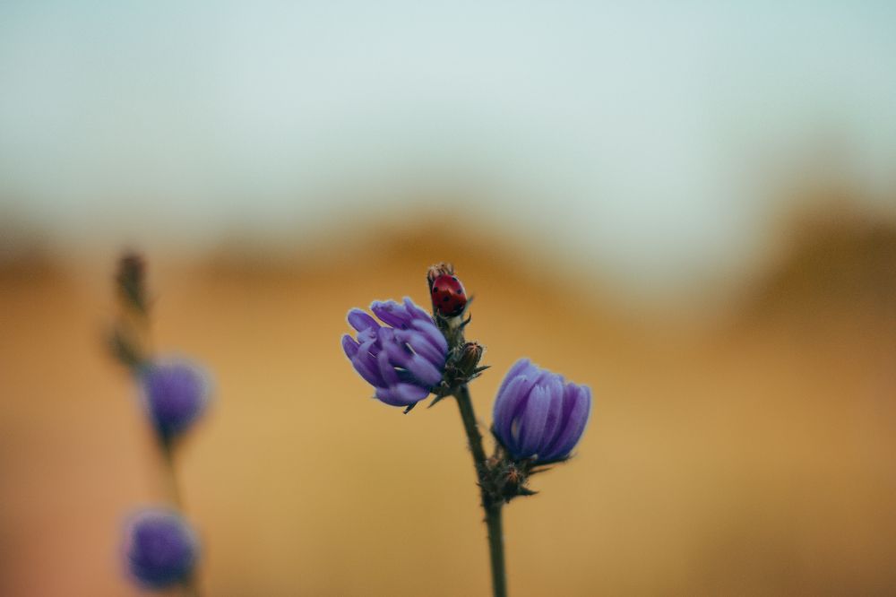 Photograph by valpushphoto