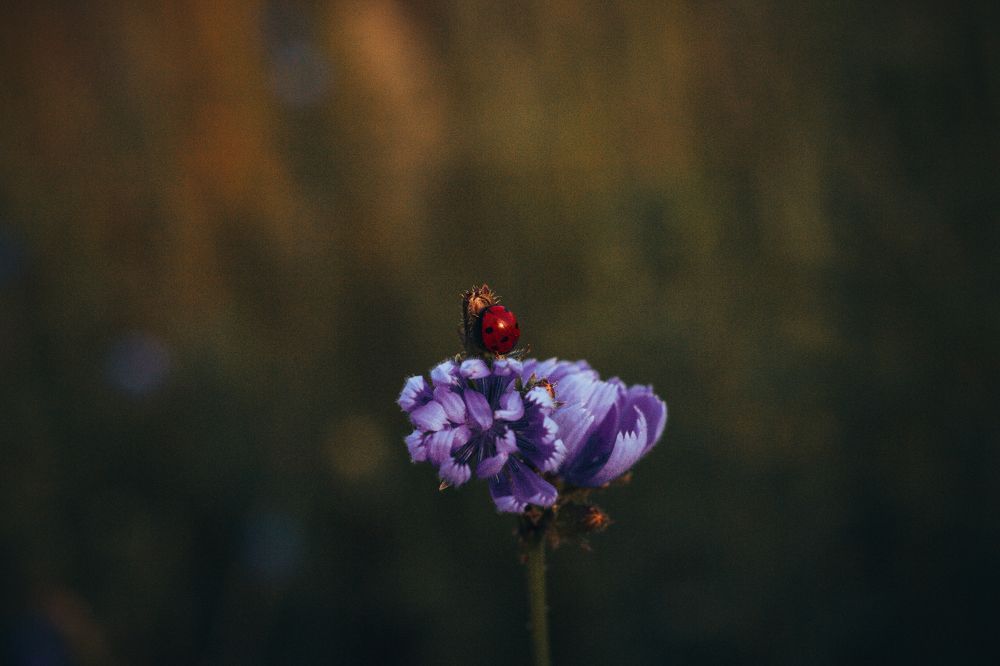 Photograph by valpushphoto