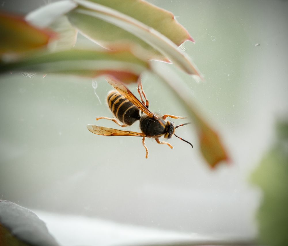 Photograph by valpushphoto