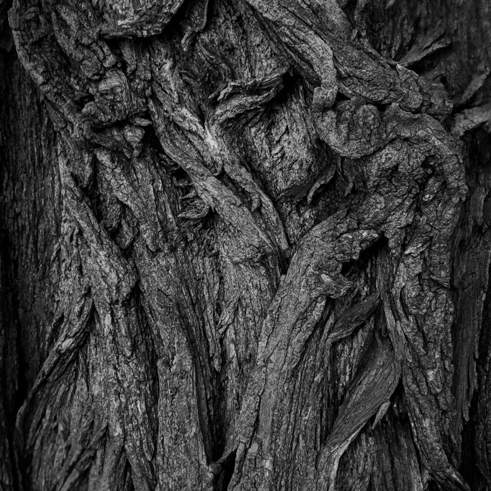 Photograph by Максим Антошкин