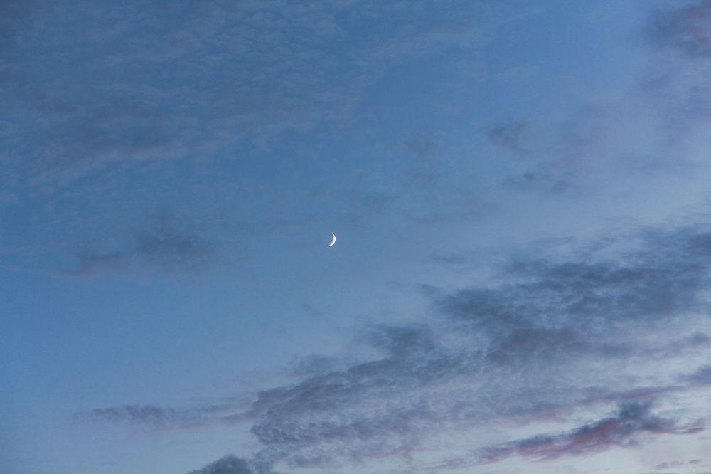 Photograph by Людмила Савчук