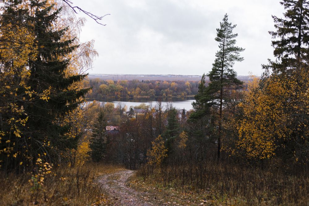 Фотография автора Татьяна Степанова