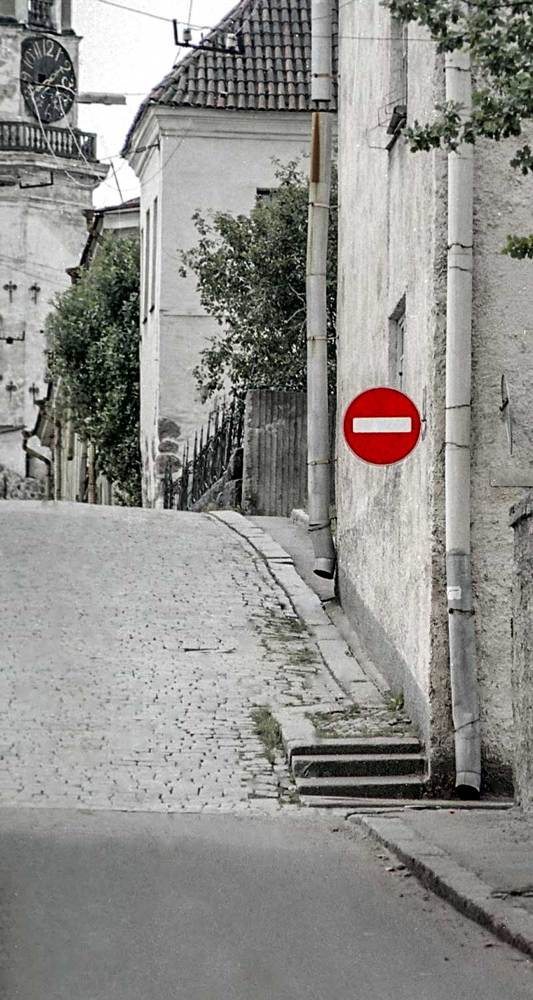 Photograph by Владимир Зубов