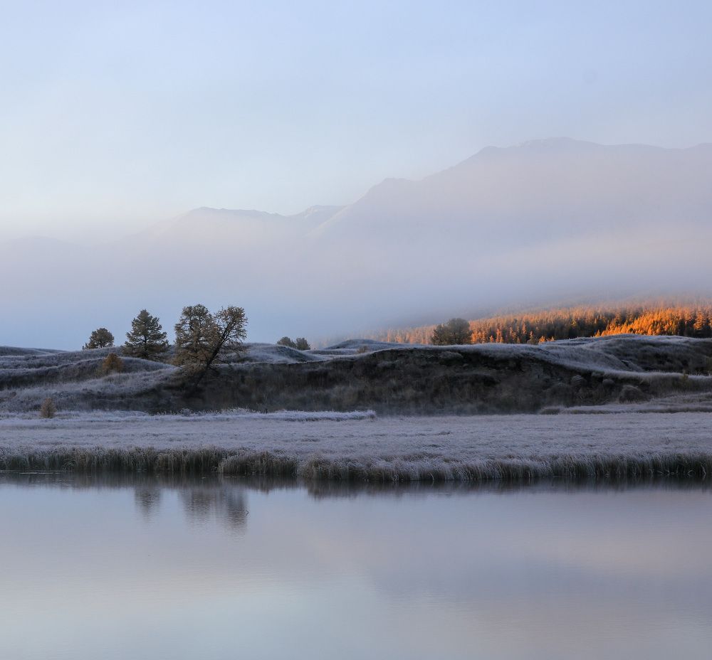 Photograph by Елена Данченко