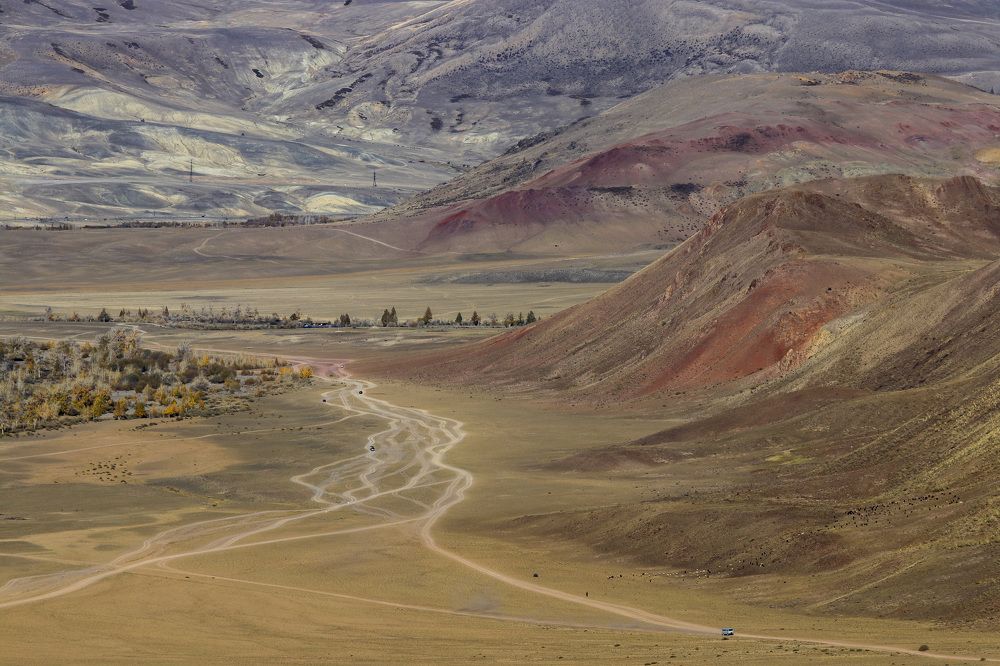 Photograph by Елена Данченко