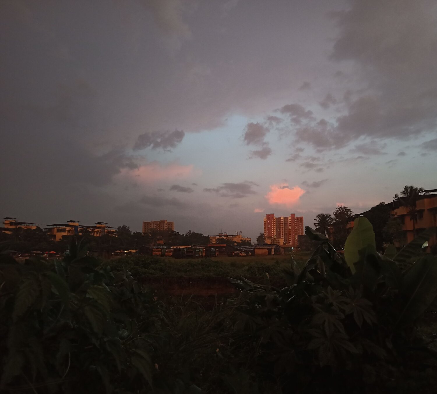 Photo #8237897
