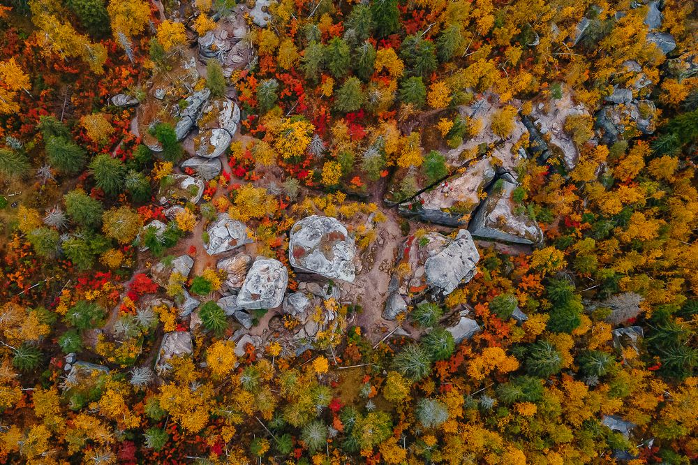 Photograph by Лариса Метелева