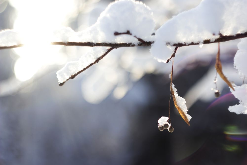 Photograph by Екатерина Мезенова