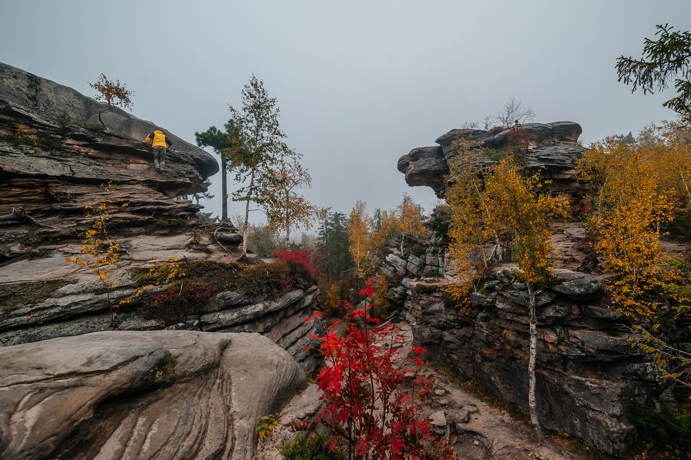 Photograph by Лариса Метелева