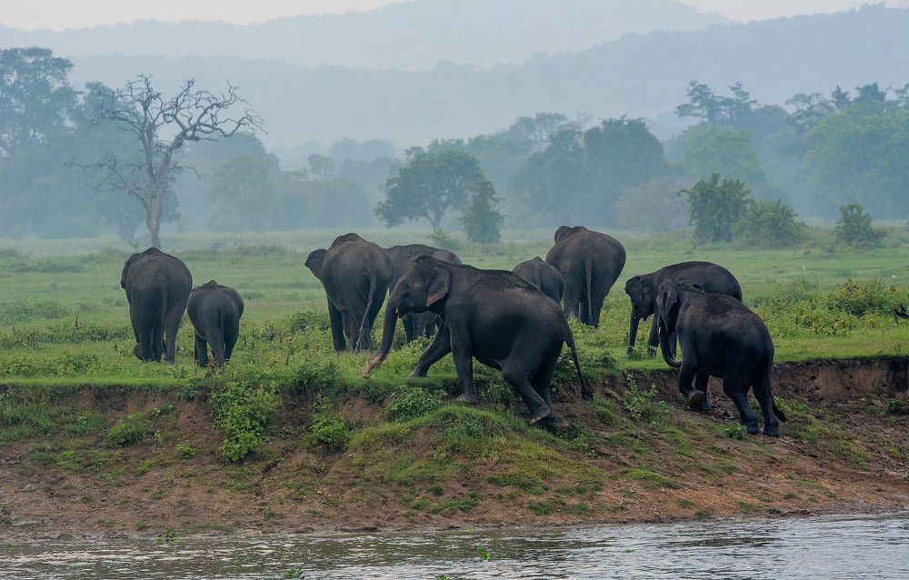 Photograph by Pakalon Janakan