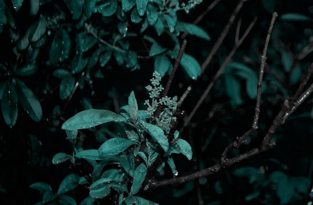 Photograph by Слава Саломатин