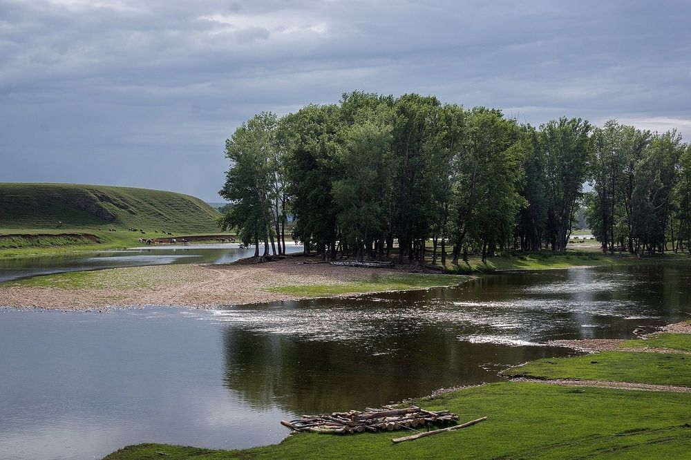 Photograph by Татьяна Богомазова