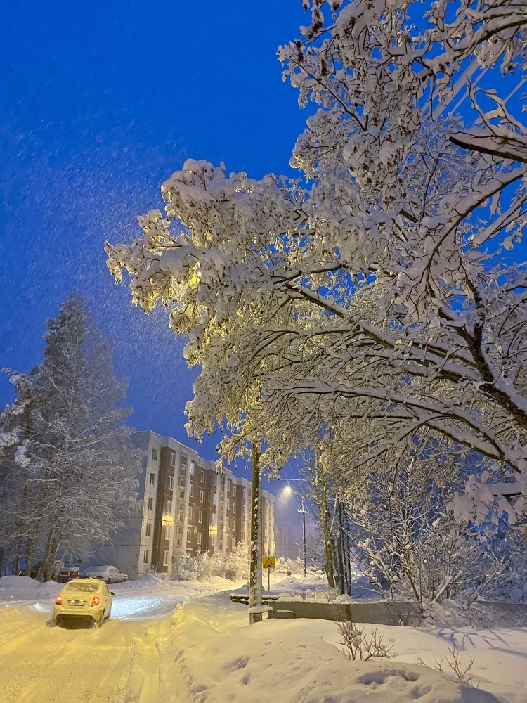 Photograph by Леонид Чеглаков