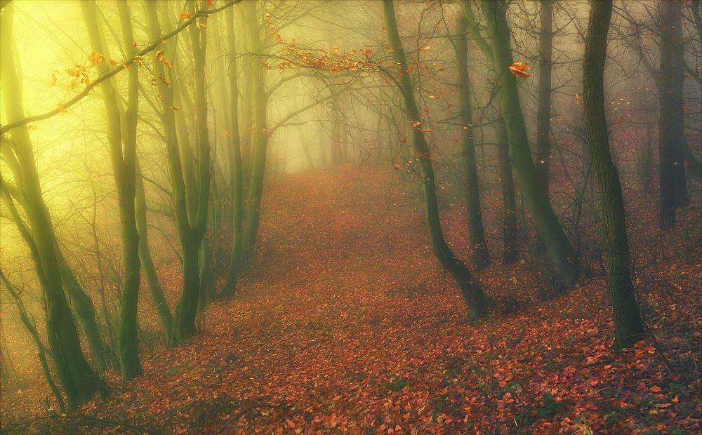 Осеннее настроение