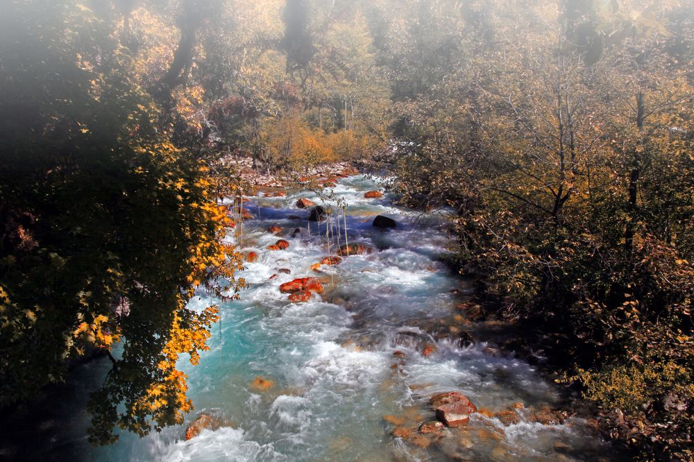 Осень