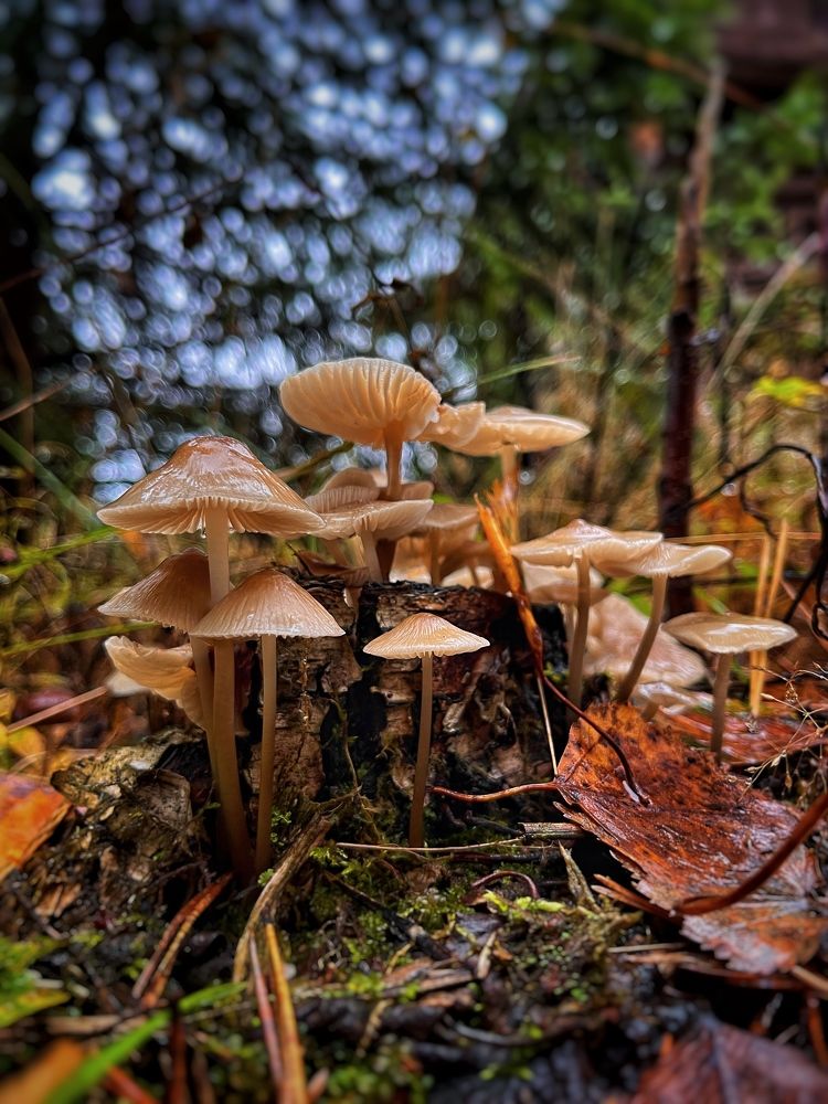 Photograph by Бравичева Анастасия