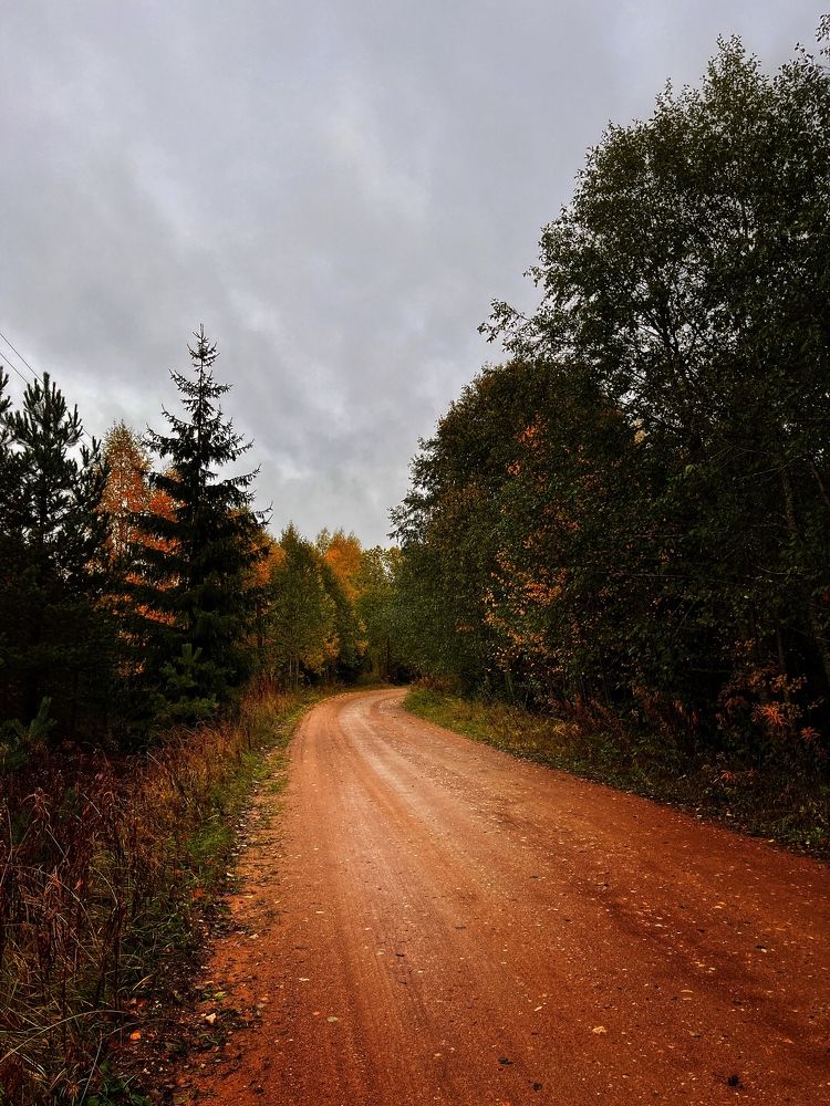 Photograph by Бравичева Анастасия