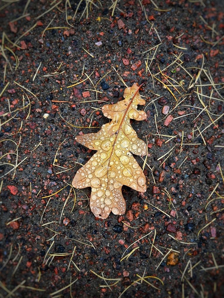 Photograph by Бравичева Анастасия