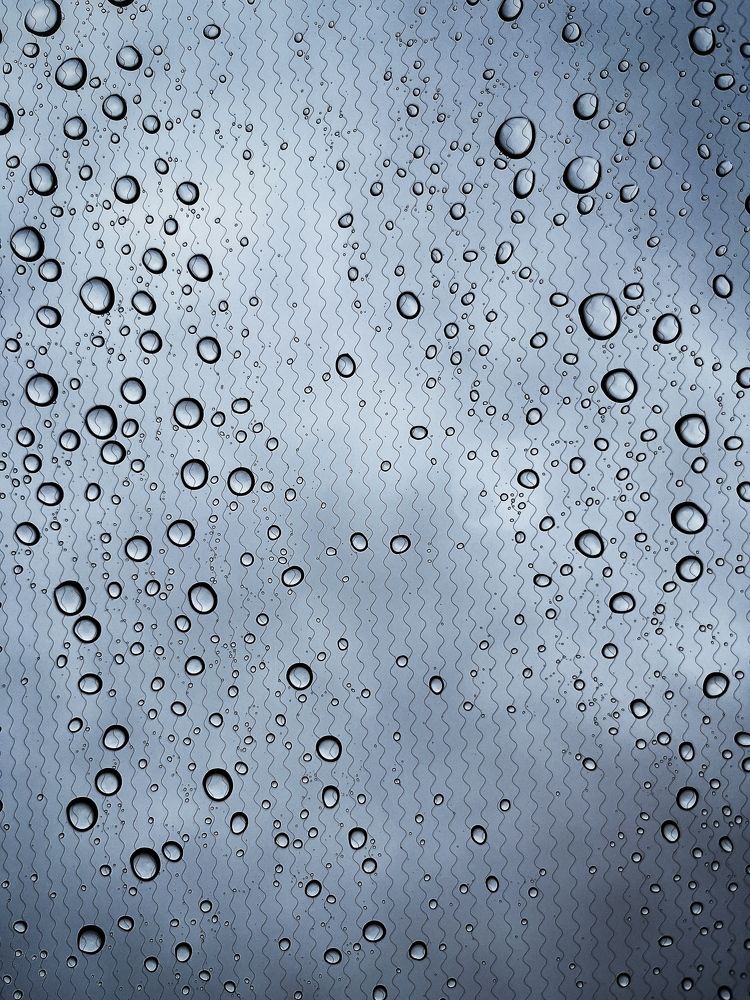 Photograph by Бравичева Анастасия