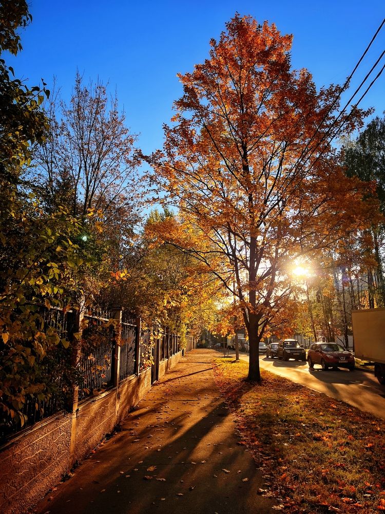 Photograph by Бравичева Анастасия