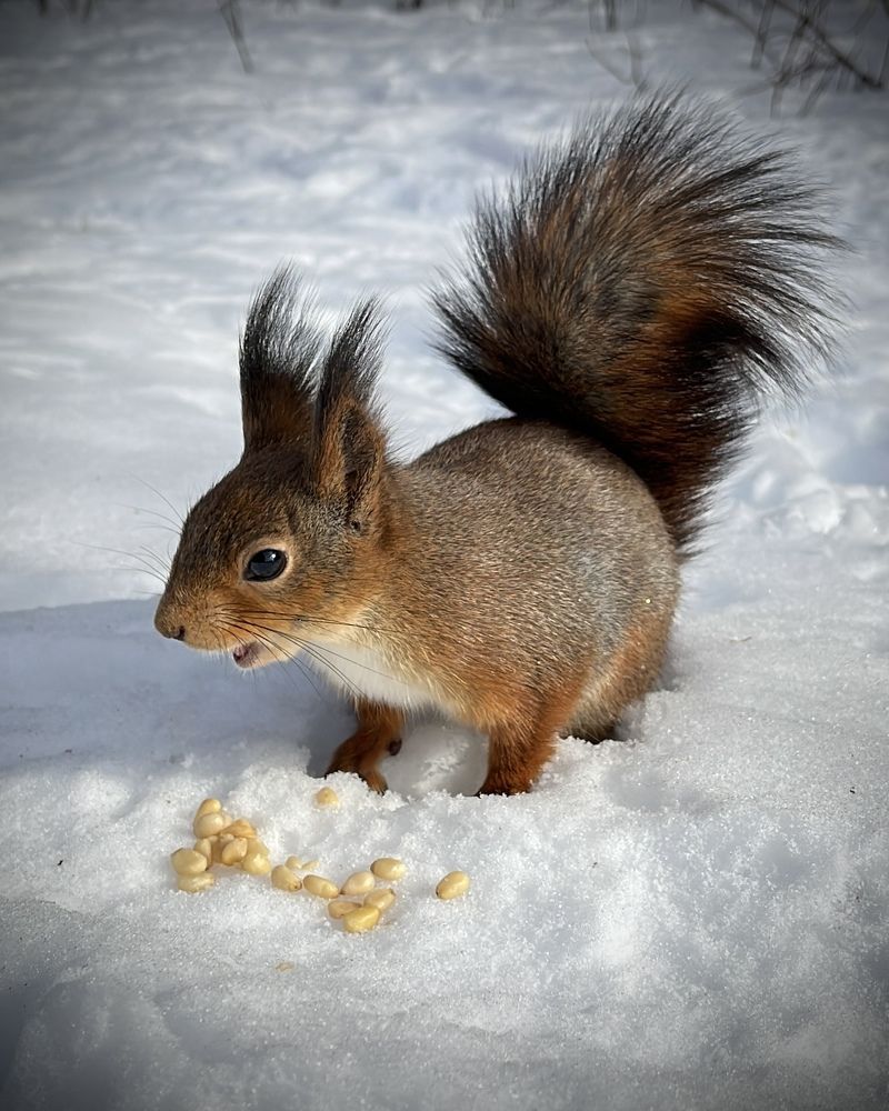 Photograph by Бравичева Анастасия