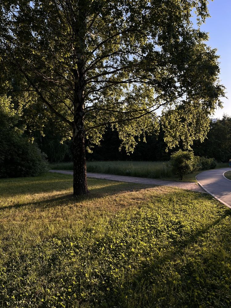 Photograph by Бравичева Анастасия