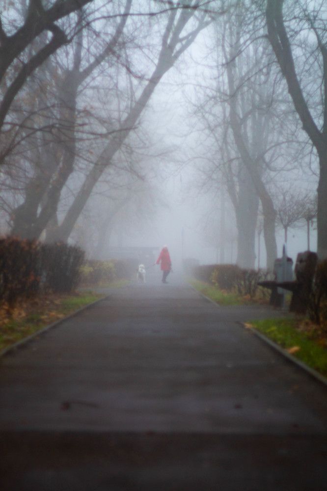 Photograph by Илья Романцев