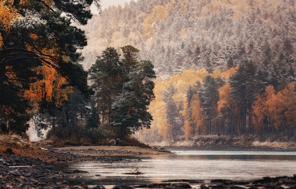 Осенний лес в Алтае.