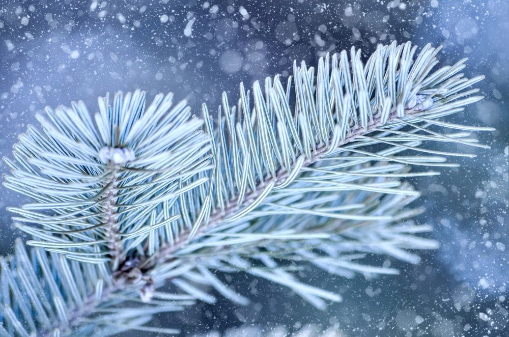 Photograph by Вероника Ливанова