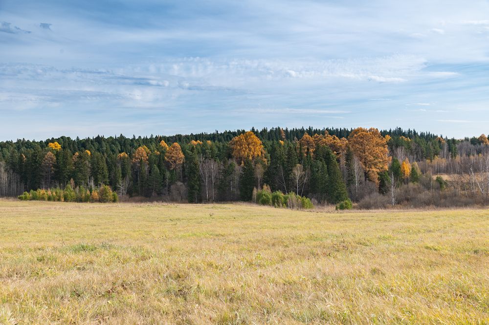 Photograph by Галина Патрушева