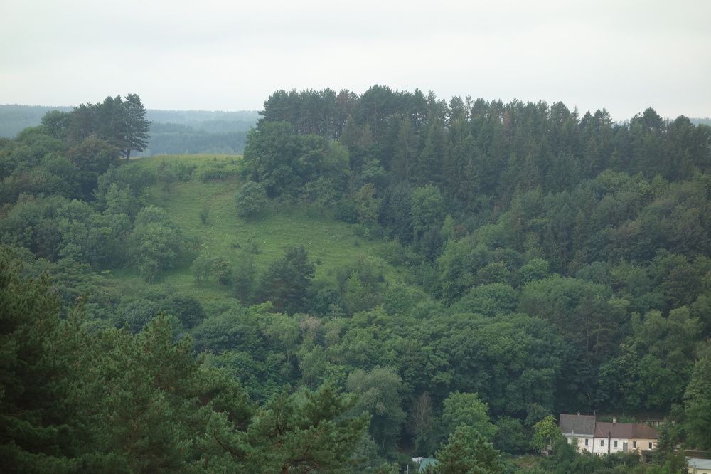 Photograph by Дарья Гришина