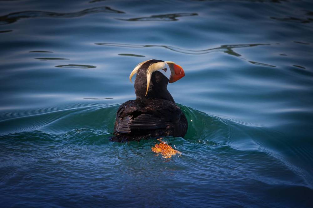 Photograph by Бравичева Анастасия