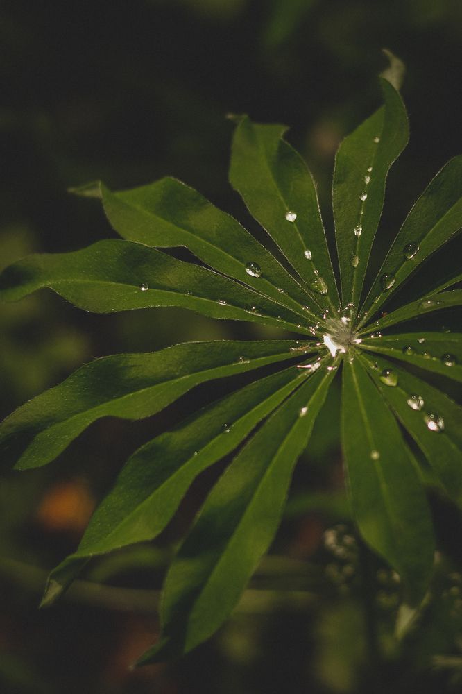 Photograph by Марина Слепова