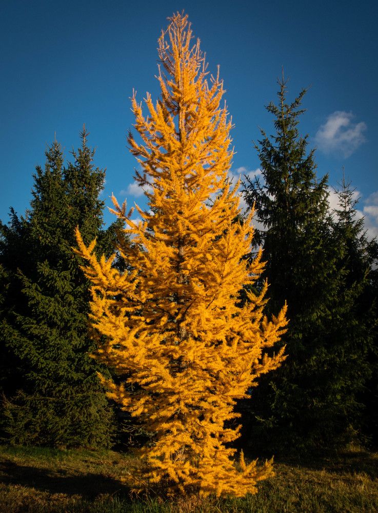 Photograph by Игорь Криулин