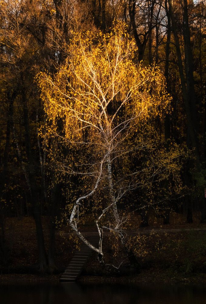 Photograph by Игорь Криулин