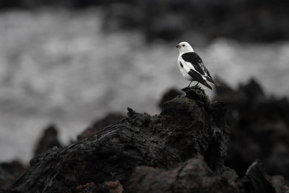 Photograph by Бравичева Анастасия