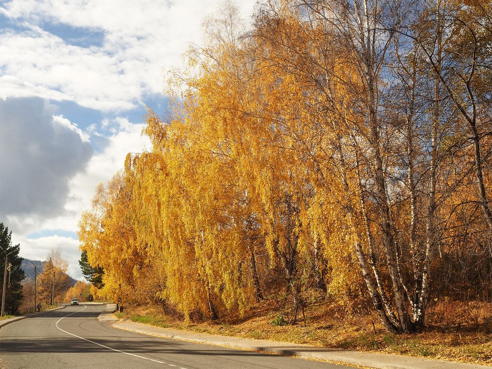 Photograph by МАрина Соловьева