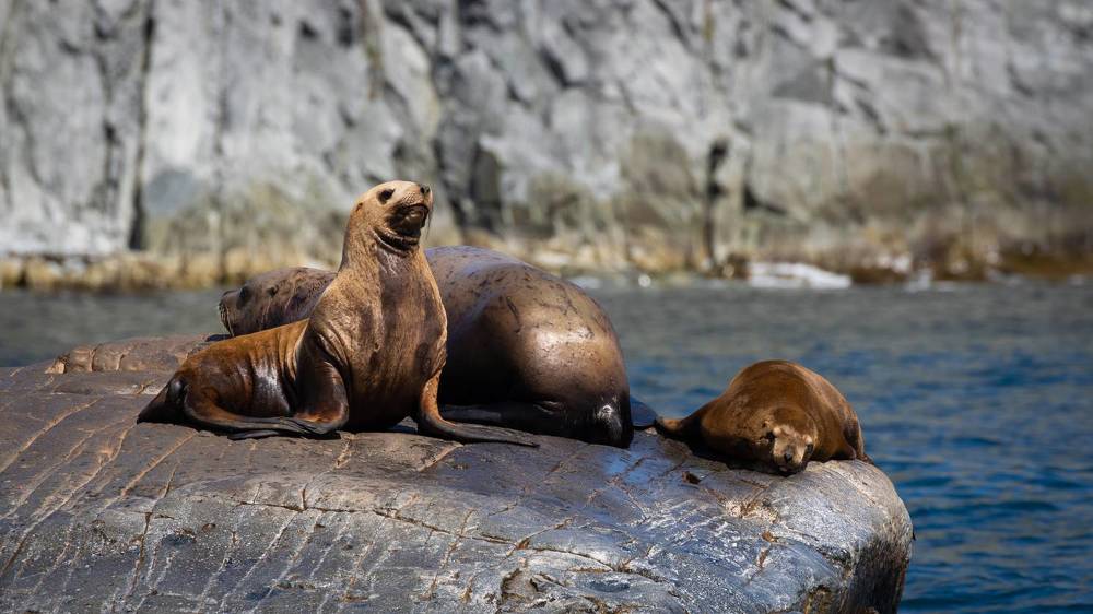 Photograph by Бравичева Анастасия