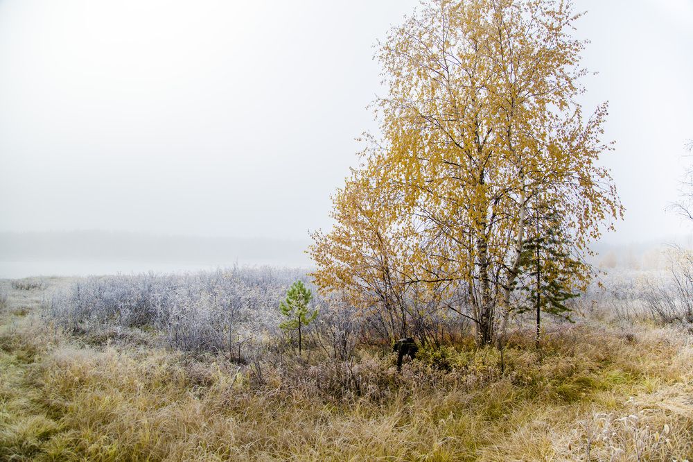 Photograph by Григорий Шишонков