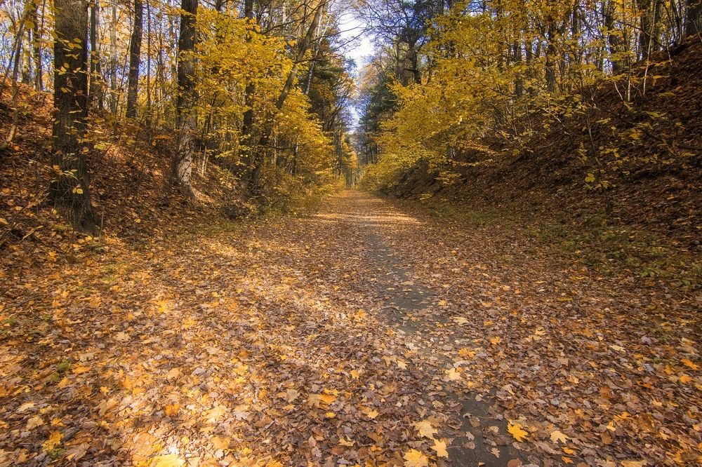 Photograph by Анатолий Салтыков