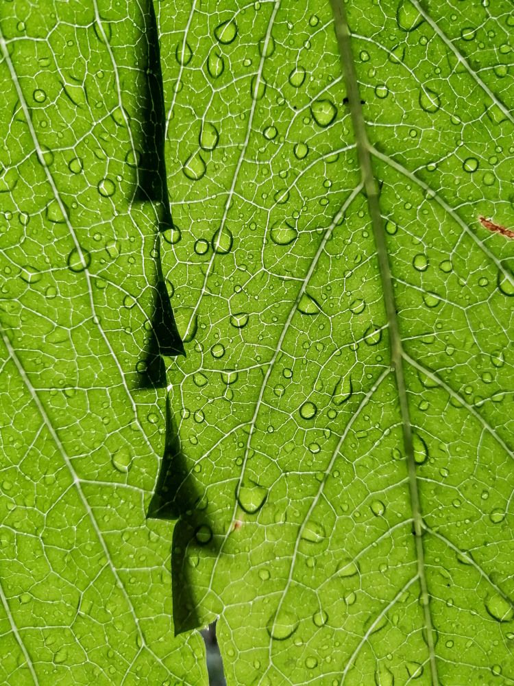 Photograph by Екатерина