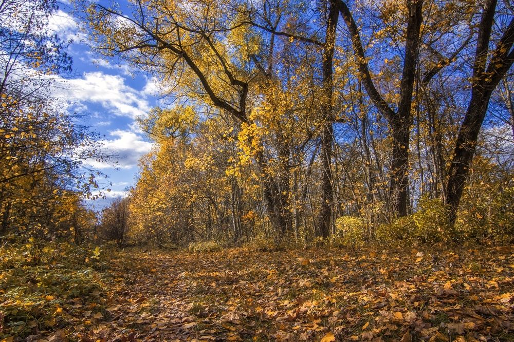 Photograph by Анатолий Салтыков