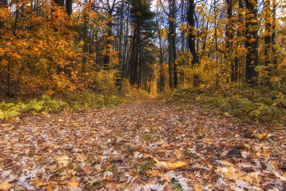 Photograph by Анатолий Салтыков