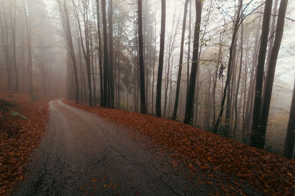 Photograph by Fahrudin Seferagić