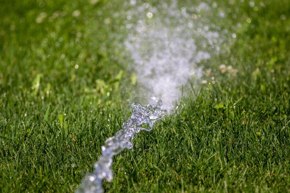 Photograph by Александр Лобынцев