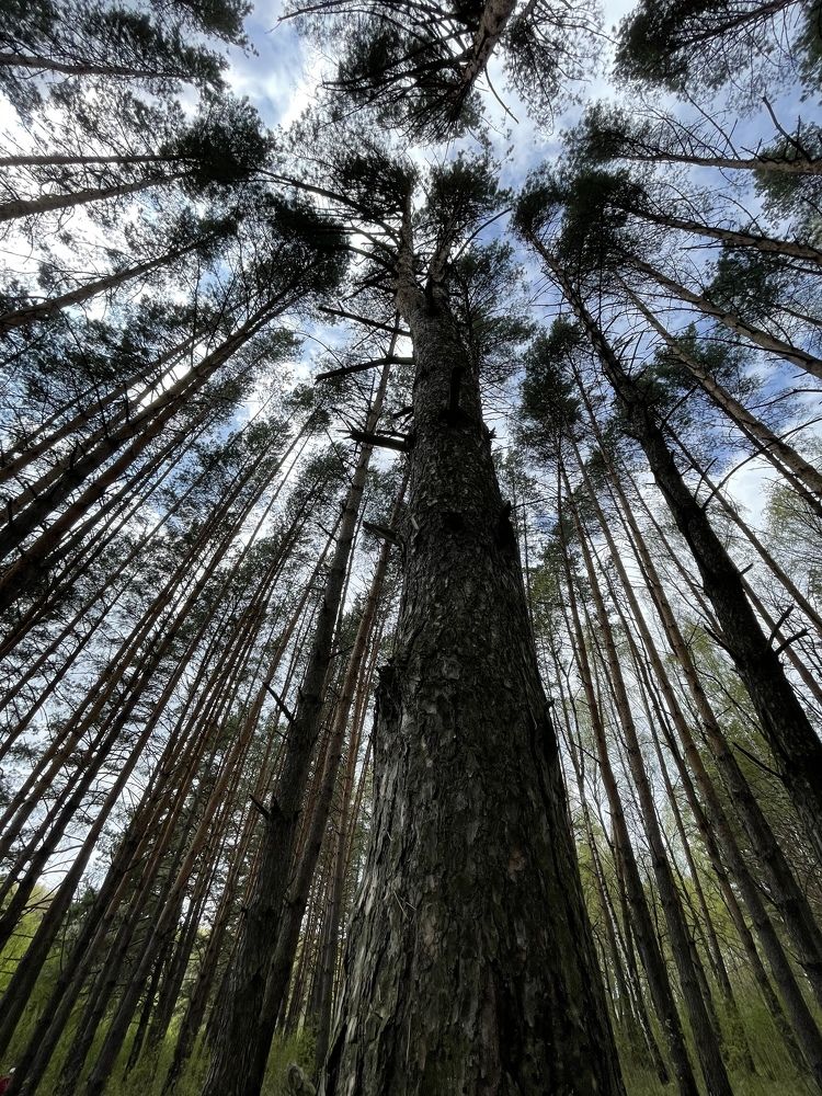 Photograph by Олеся Лагутина