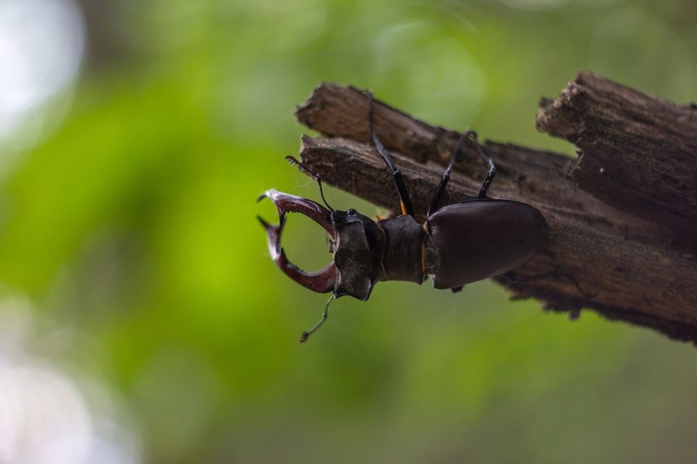 Photograph by Александр Лобынцев