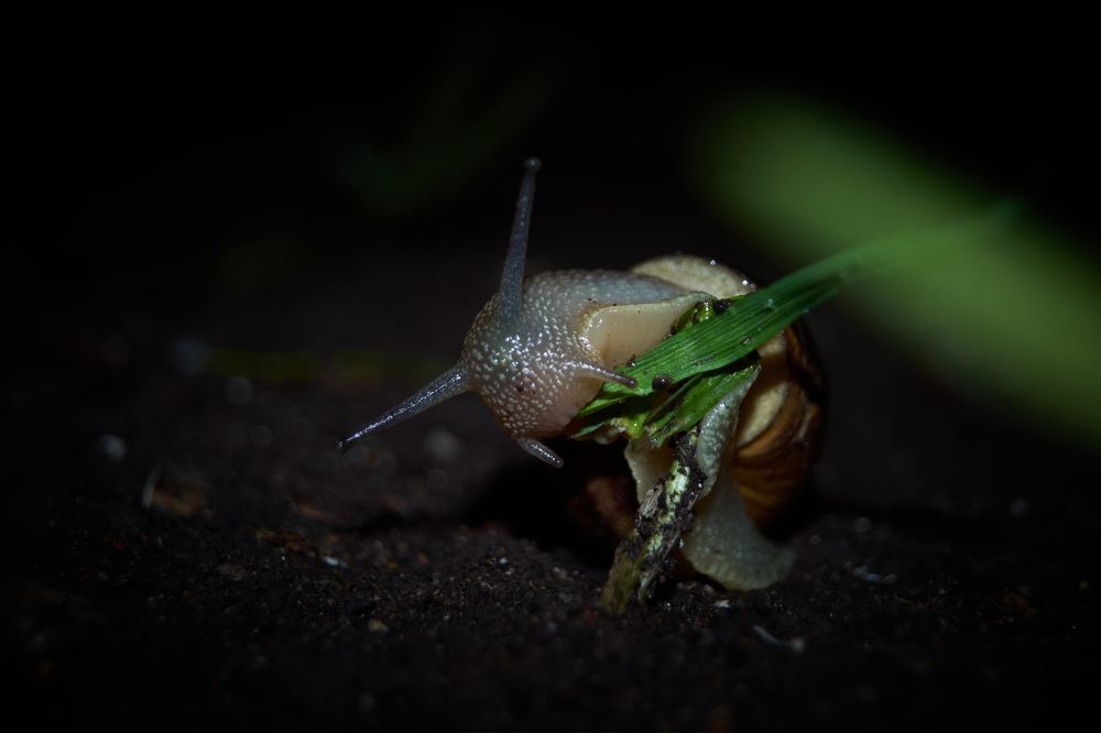 Photograph by Carlos Garcia