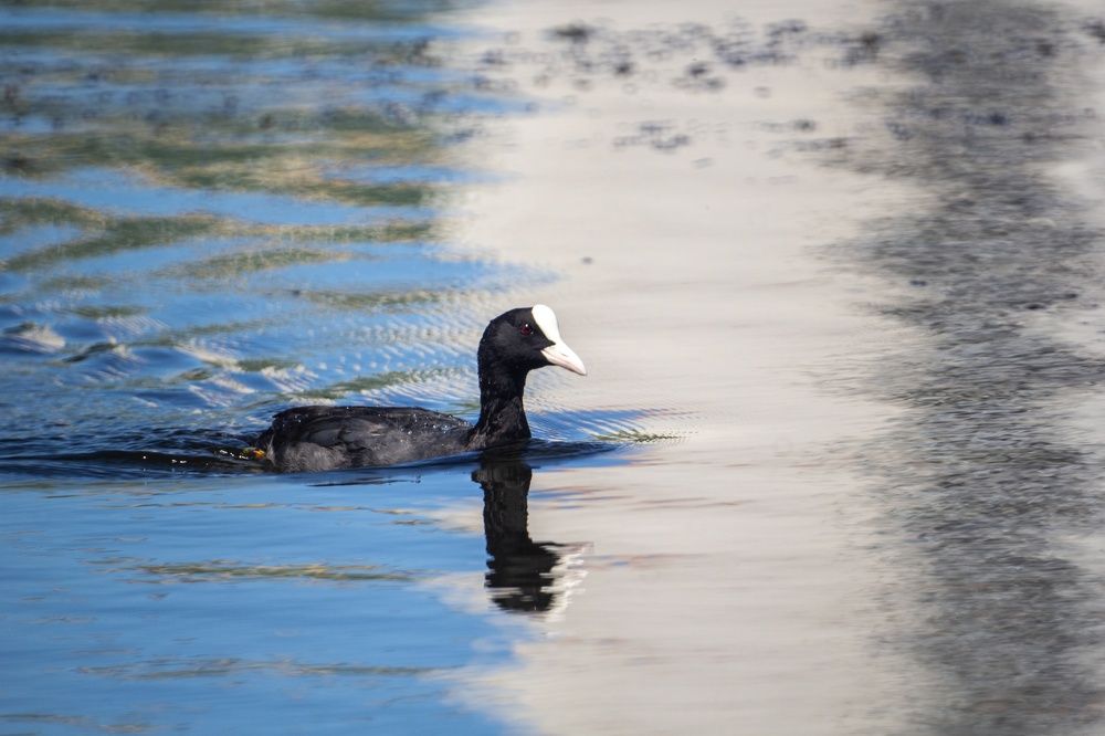 Photograph by Александр Лобынцев